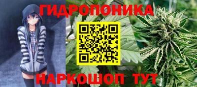 не бодяженный Сланцы