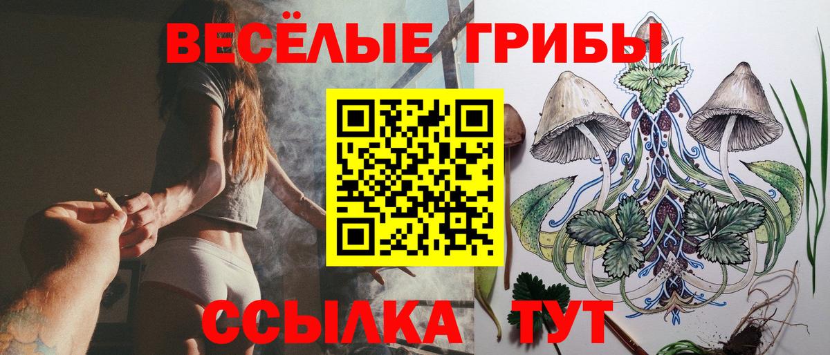 Галлюциногенные грибы мицелий Сафоново