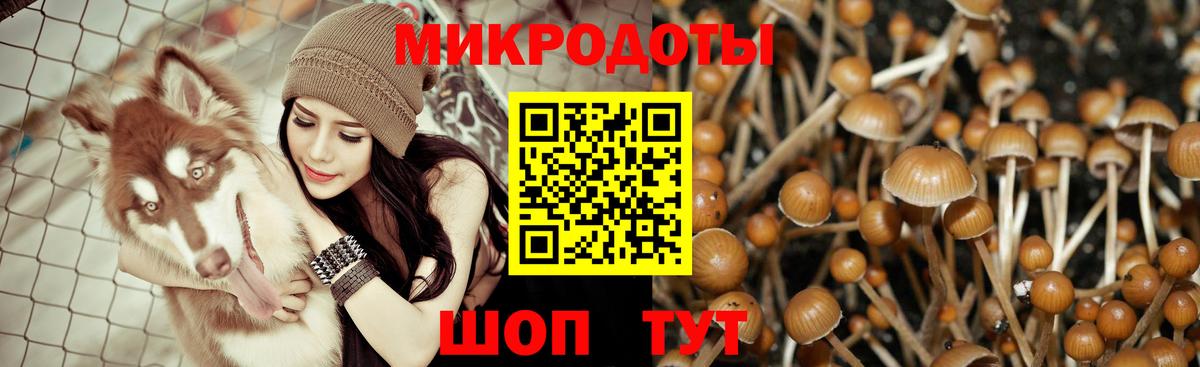 Сафоново  Галлюциногенные грибы ЛСД  Псилоцибиновые грибы MAGIC MUSHROOMS  Вход с VPN 